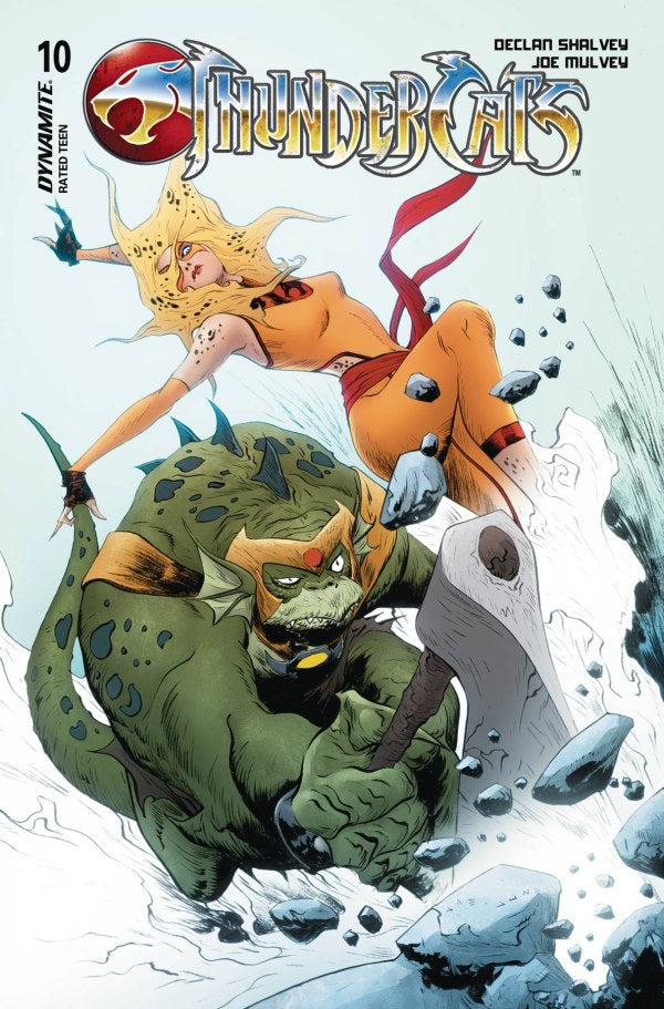 ThunderCats #10 Cover D Jae Lee Variant