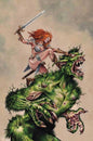 Red Sonja She Devil With A Sword #1 Cover L 1 in 10 Mike Rooth Full Art Cover Variant