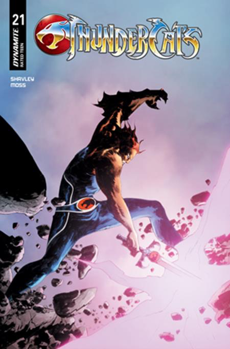 ThunderCats #21 Cover C Jae Lee Variant