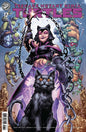 Teenage Mutant Ninja Turtles #17