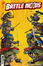 Teenage Mutant Ninja Turtles: Battle Nexus #2 Cover C Dan Schoening & Louie Joyce Variant