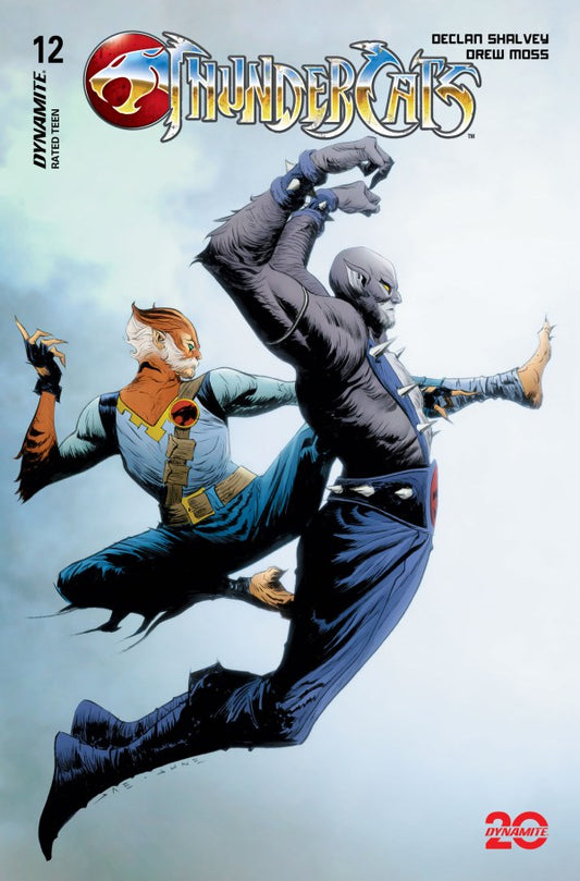 ThunderCats #12 Cover C Jae Lee Variant