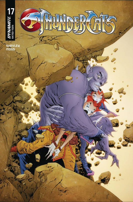ThunderCats #17 Cover C Jae Lee Variant