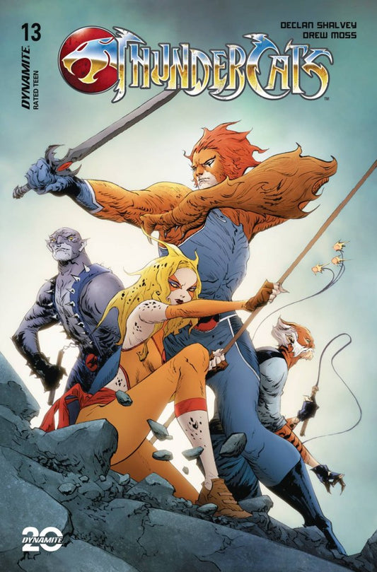 ThunderCats #13 Cover C Jae Lee Variant