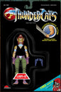 ThunderCats #22 Cover F Drew Moss Action Figure Variant