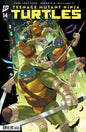 Teenage Mutant Ninja Turtles #14 Cover D Stephen Byrne Variant