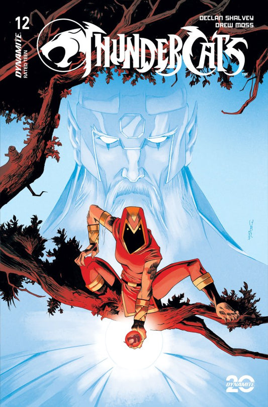 ThunderCats #12 Cover B Declan Shalvey Variant