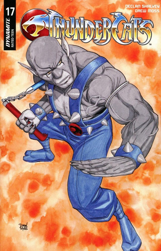 ThunderCats #17 Cover D Drew Moss Variant