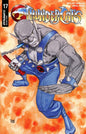ThunderCats #17 Cover D Drew Moss Variant