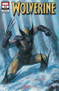 Wolverine #14 Davide Paratore Variant